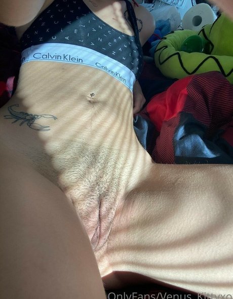 Venus Kitty exklusive kunst bilder