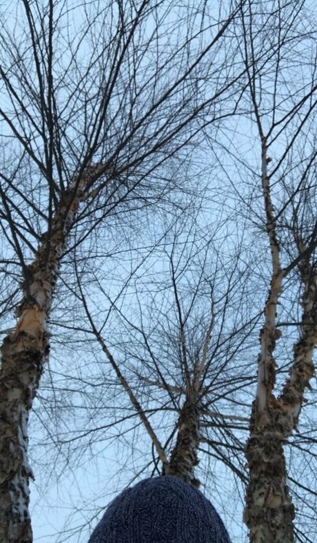 missharperlane exklusive porno archiv