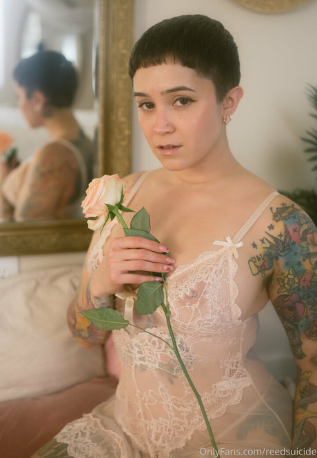 Jaclyn erwachsene pornografische galerie