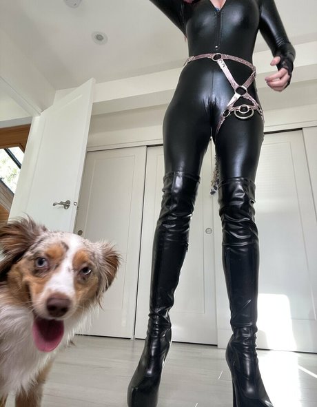 transsexuelle onlyfans xxx galerien