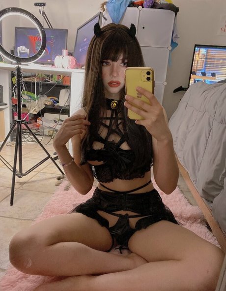 Amate Saurius kostenlose schöne fotos