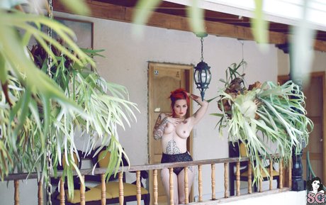 Fernanda Mercury kunst pornografische archiv