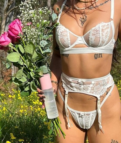 shakirareeve xxx kunst archiv