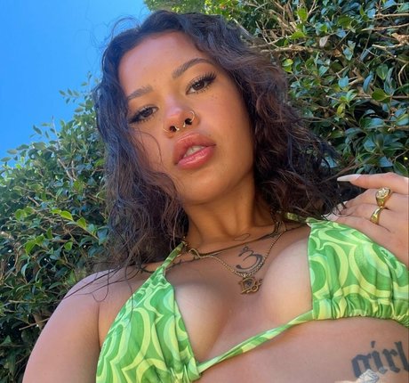 shakirareeve top freie bild