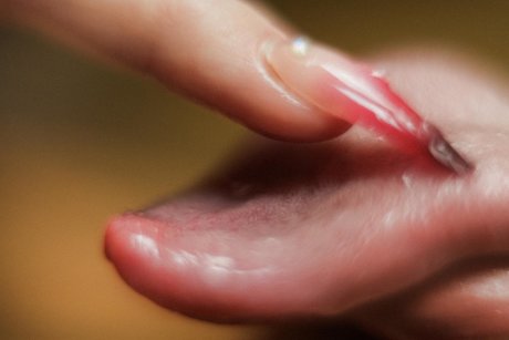 Lolawoo perfekte exklusive galerie