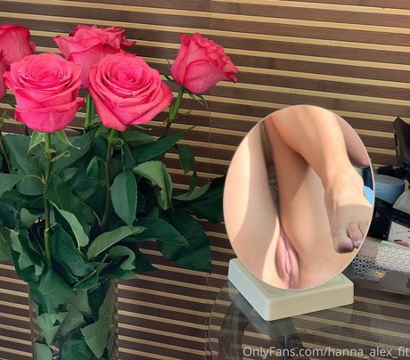 hanna alex fit sexy perfekte bild