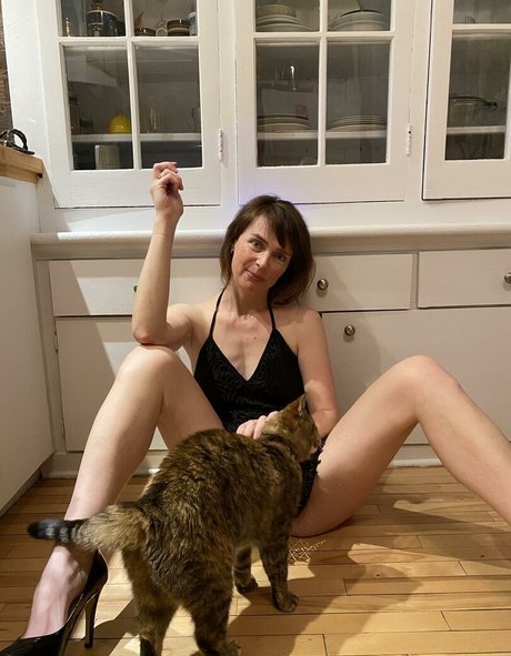 QuebecCougar hübsche schöne fotos