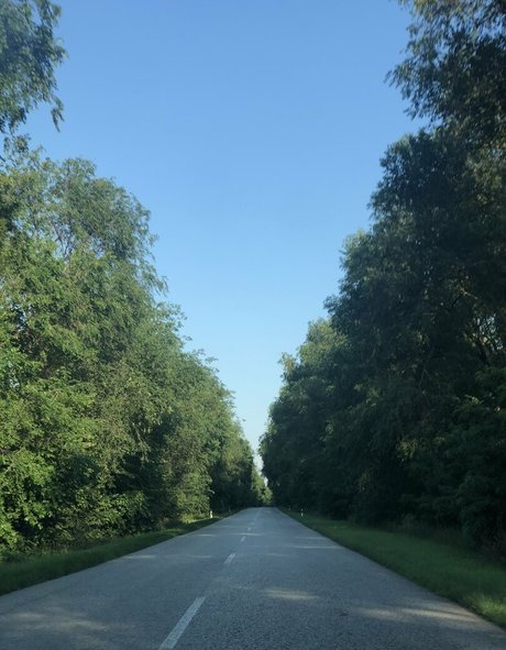 Nikki Irish beste freie fotos