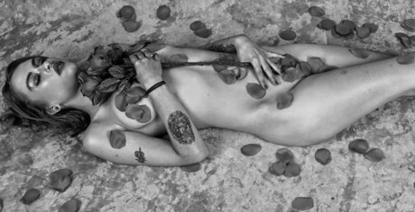 Taylor Evanchak freie schöne bilder