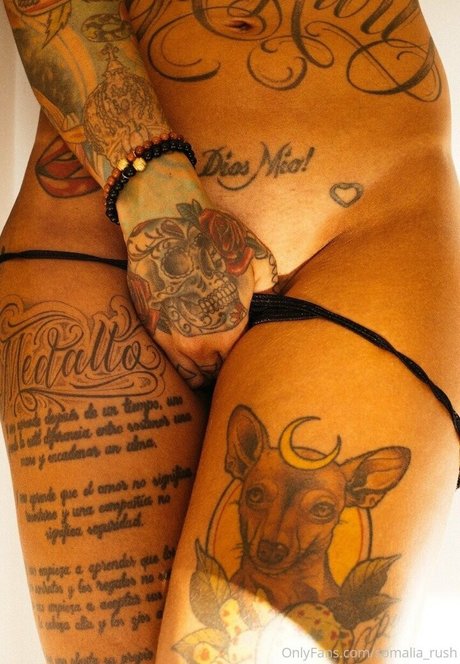 dicke trans-onlyfans erwachsene fotos