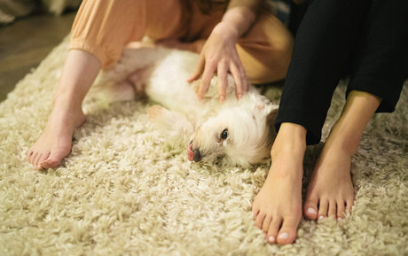 Vivienne Law schauspielerin nackt foto