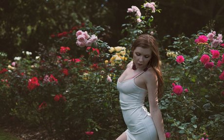 MeowSparky kostenlose archiv