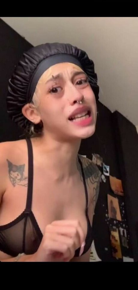 Strychniness erwachsene freie bild