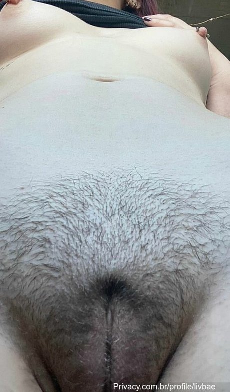 Livbae erwachsene hübsche bild