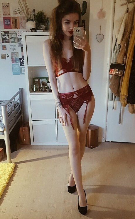 aemreynolds perfekte freie bild