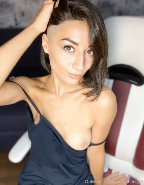 _darsy freie perfekte bilder