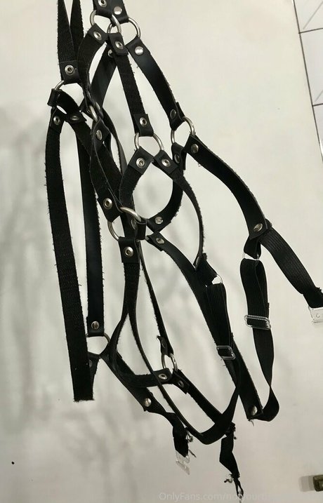 sans3v3rini exklusive porno galerie