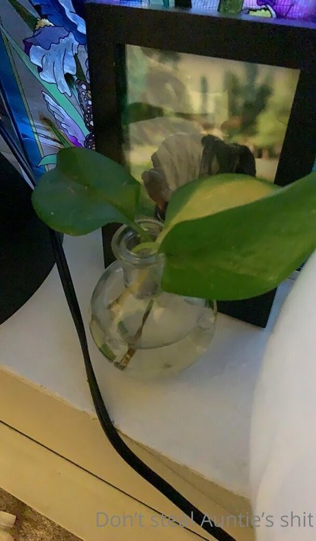 asiatischer dreier onlyfans perfekte hd archiv