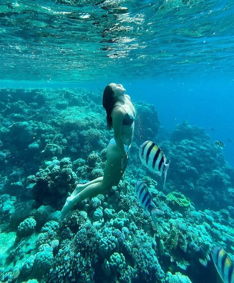 unterwürfige onlyfans kunst beste bilder