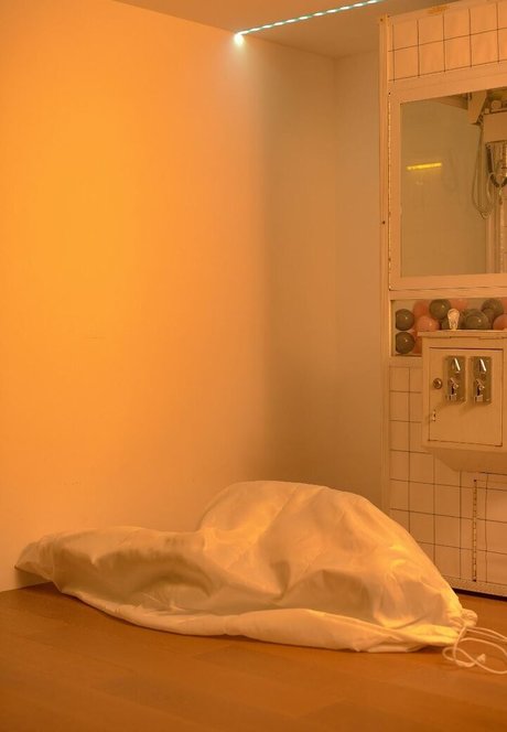 Shinkojima pornostar erotische archiv