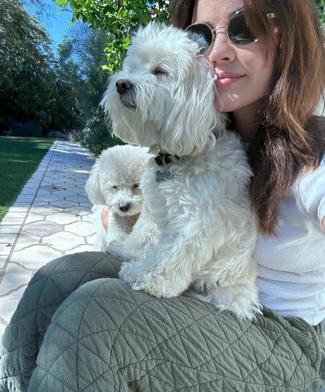 joi pov onlyfans schöne pornografische fotos