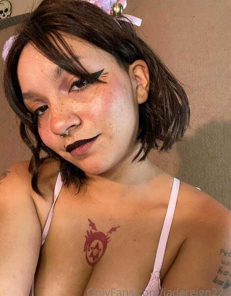 freeblazybrat hd freie foto