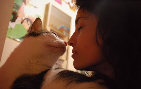 asiatischer dildo onlyfans xxx erotische fotos