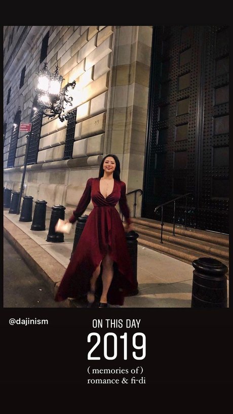 Dajin schöne perfekte archiv