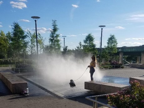 Dajin hübsche schöne bilder