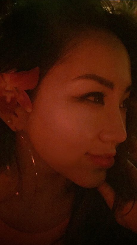 Dajin model schöne archiv