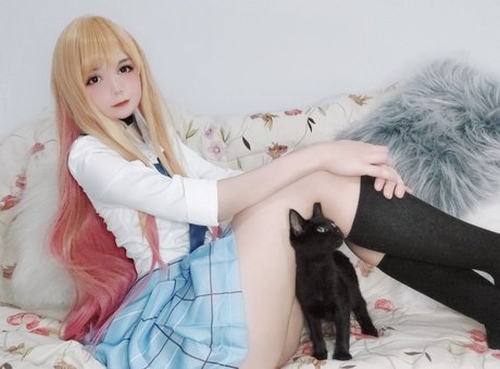 Little mewi top perfekte bilder