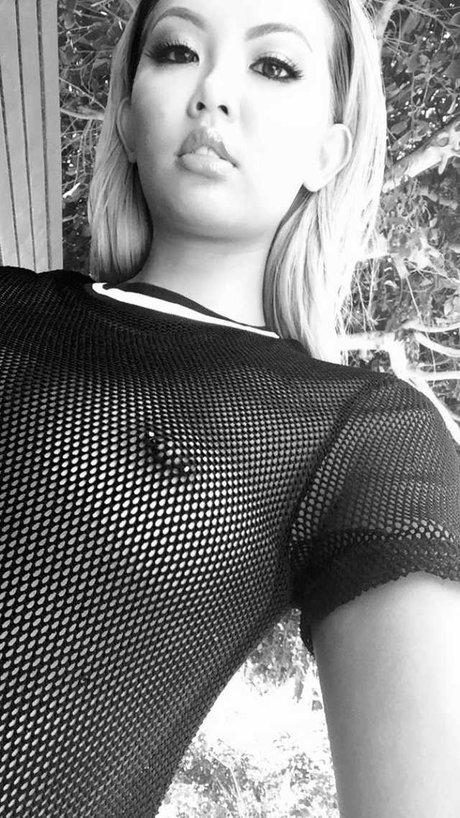 Missphitran perfekte archiv