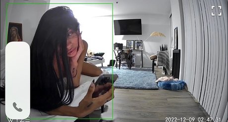 dicke trans-onlyfans kunst top galerien