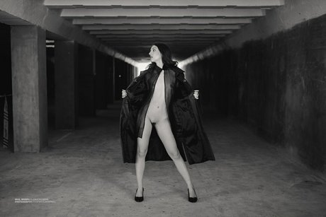 Elis kunst pornographische archiv