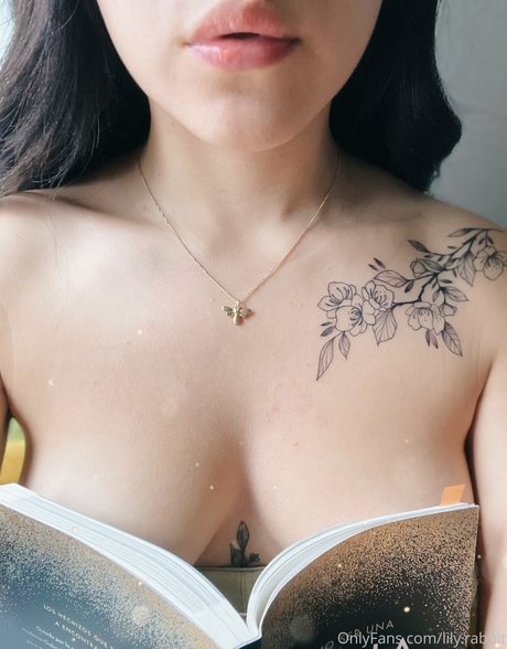 lily rabbit freie schöne galerie