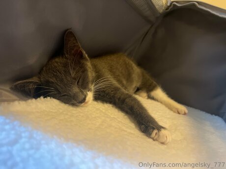 Angelsky 777 kunst nackten bilder