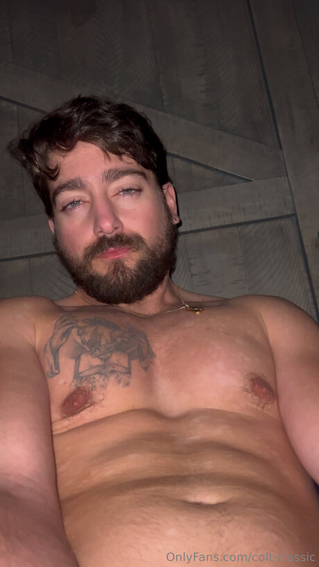 Colt Classic kostenlose kunst fotos