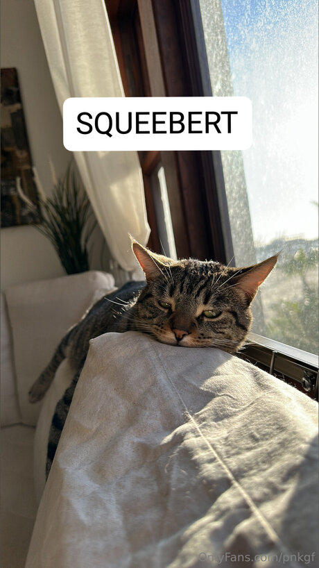 Pnkgf nacktheit erotische galerien