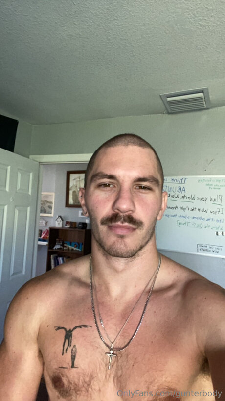 Gunterbody top beste bild