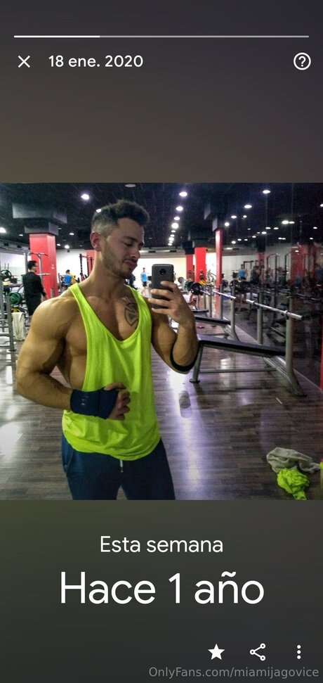 Miamijagovice kunst hübsche foto