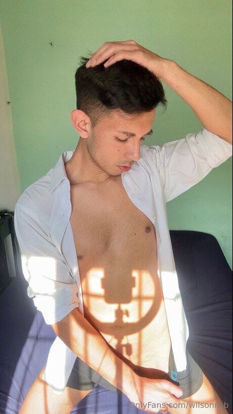 Wilsonn B erwachsene hübsche foto