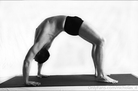 Nicholas D porno pornostar bilder