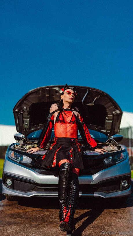 Aurorarav3n perfekte schöne fotos