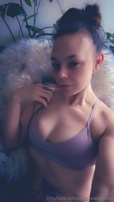 Ambrosiasweetie Bilder