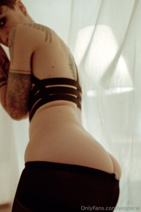 Vesperal model hd galerie