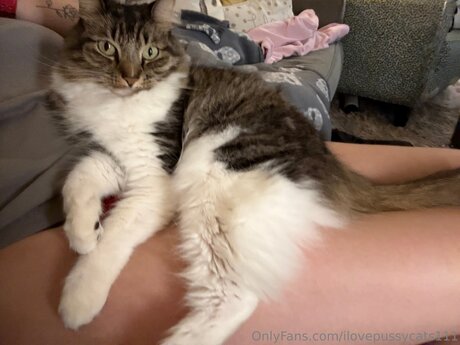 Ilovepussycats111 schauspielerin kostenlose bild