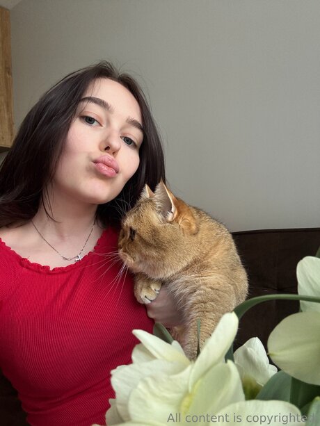 Celestiavex top schöne galerien