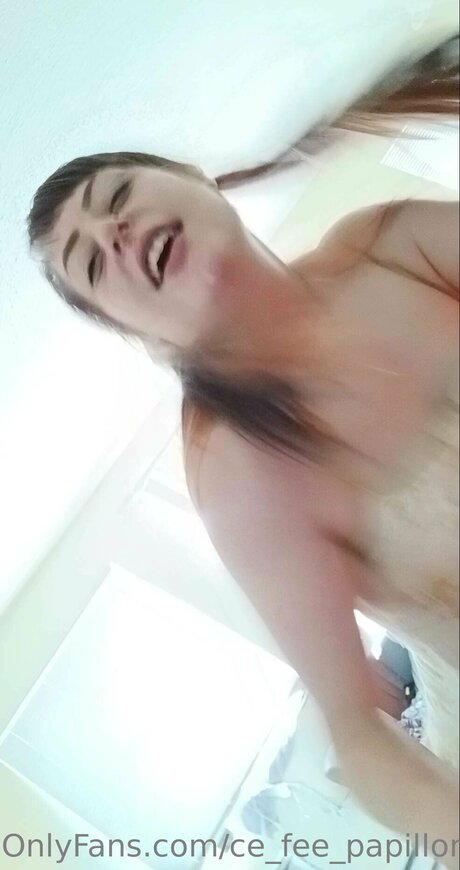 Lilsiesie kostenlose perfekte bild