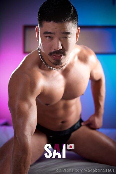 Vagabondzeus exklusive kunst archiv