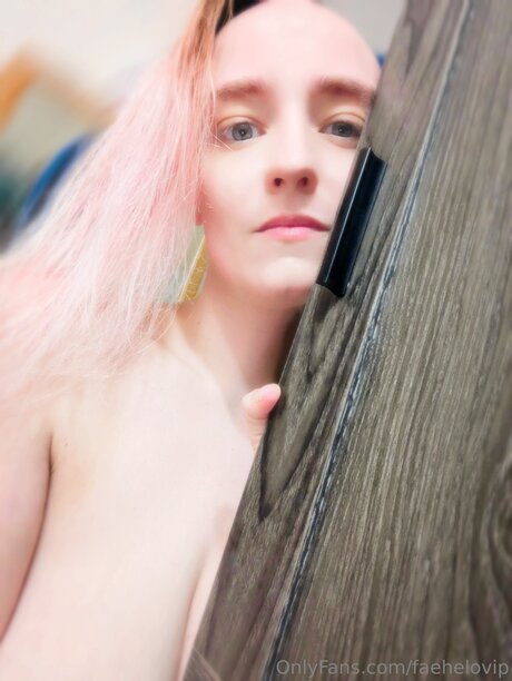 Faehelovip exklusive galerie